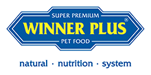 winner plus logo