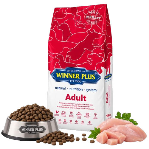 Winner Plus